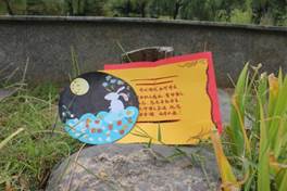 IMG_8497 IMG_8497